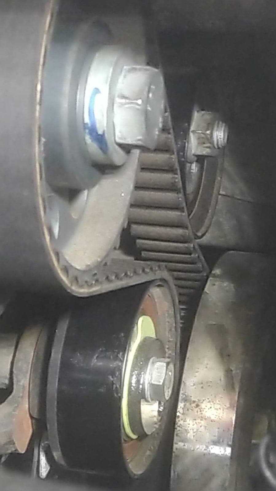 Timing belt with tensioner and idler, with the cover removed